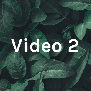 Video 2-logo