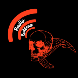 Historias de Terror XII