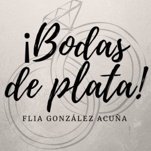 Bodas de plata-logo