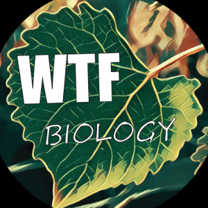 WTF, Biology?-logo