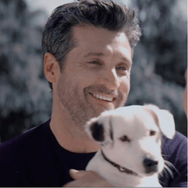 Grey’s Anatomy ️ | Listen to Podcasts On Demand Free | TuneIn