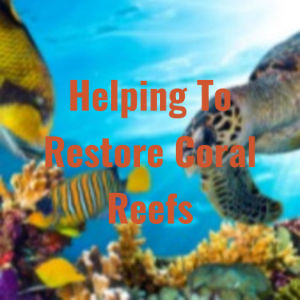 Helping To Restore Coral Reefs-logo