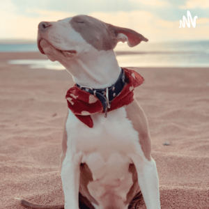 Mi Perro Mi Companero-logo