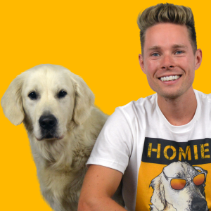 Puppy Opvoeden Podcast: Puppy Opvoeden | Puppy Cursus | Honden Trainen-logo
