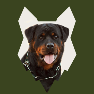 Fenrir Rottie Podcast-logo
