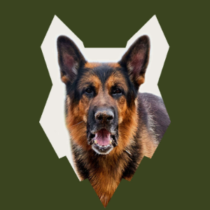 Fenrir German Shepherd Podcast-logo