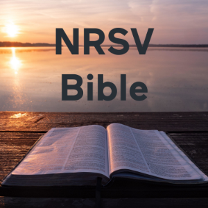 NRSV Bible-logo