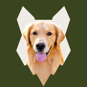 Fenrir Golden Retriever Podcast-logo