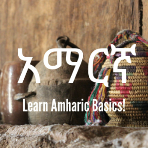 Learn Amharic Basics!-logo