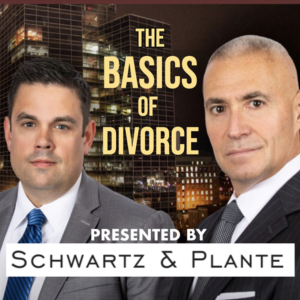 The Basics of Divorce-logo