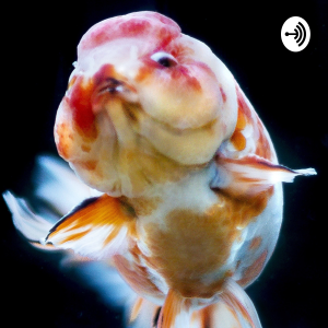 THE JOY OF AQUASCAPING PODCAST-logo