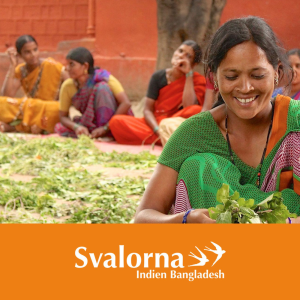 Indienpodden - Svalorna Indien Bangladesh