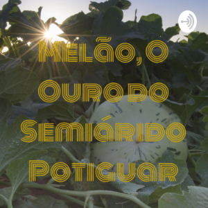 Melao, O Ouro do Semiarido Potiguar-logo