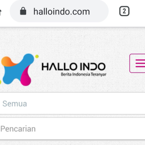 HalloIndo-logo