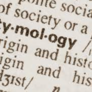 Verbal Voyage: ChatGPT Unravels Word Origins-logo