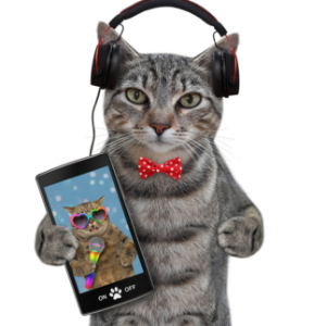 Comedy Cat! Life with Bucky - World’s Funniest Cat !-logo