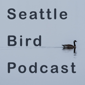 Seattle Bird Podcast-logo
