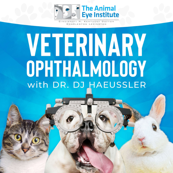 Veterinary Ophthalmology Listen to Podcasts On Demand Free TuneIn