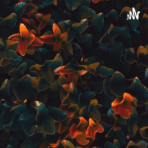 人生有多残酷-logo