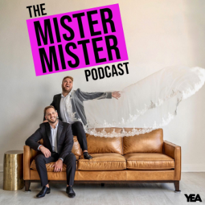 The Mister Mister Podcast-logo