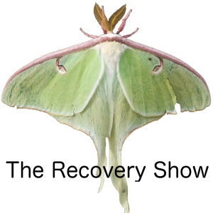 Spotify Archives - The Recovery Show-logo