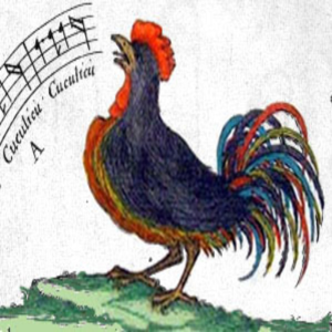 Radio Rapsodia-logo