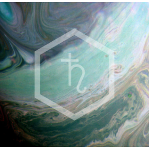 BioExpedition-logo