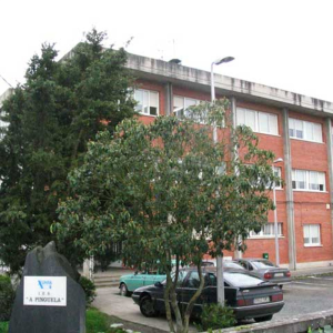 Novas IES Pinguela