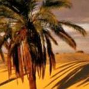 La voz del oasis-logo