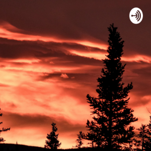 ASMR Relaxation-logo