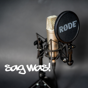 Sag was! Deine Stimme-logo