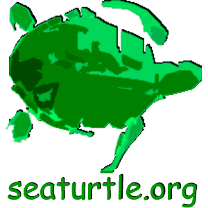 Sea Turtle Multimedia Guide-logo