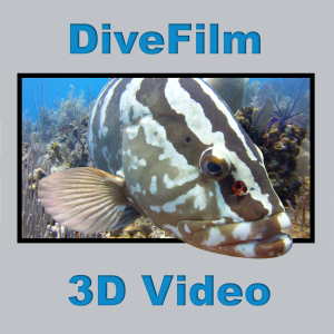 DiveFilm 3D Video-logo