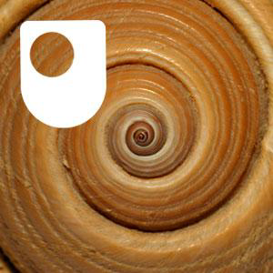 Exploring mathematics: maths in nature and art - for iPod/iPhone-logo