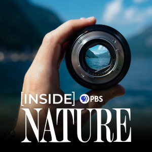 Inside NATURE on PBS-logo