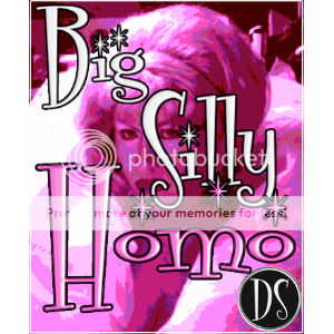 Big Silly Homo-logo