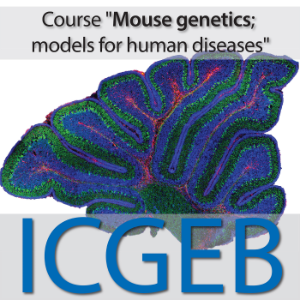 Mouse Genetics 2019; Models for Human Diseases-logo