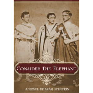 Consider The Elephant-logo