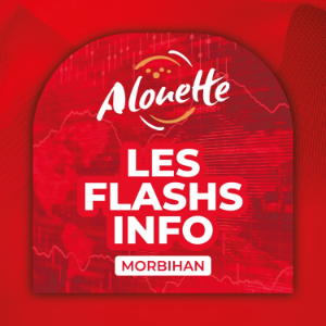 Les Infos dans le Morbihan.-logo