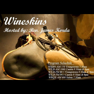 Wineskins-logo