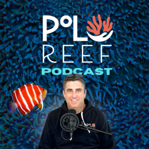 Polo Reef the Podcast-logo