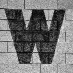 Wainstead All Night-logo