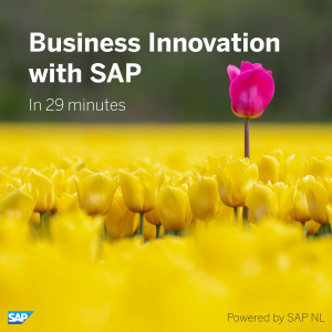 Business Innovation with SAP-logo