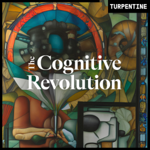 "The Cognitive Revolution" | AI Builders, Researchers, and Live Player Analysis-logo