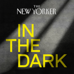 In The Dark-logo