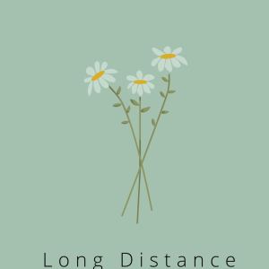Long Distance Relationships-logo