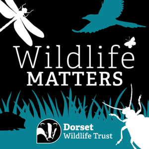Wildlife Matters-logo