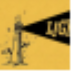 The Little Lighthouse-logo