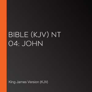 Bible (KJV) NT 04: John