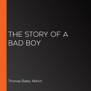 The Story of a Bad Boy-logo